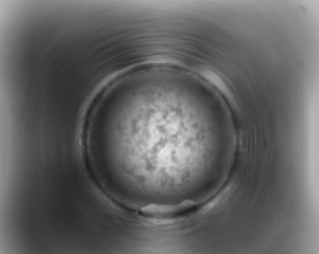 X0000088651068200706011217