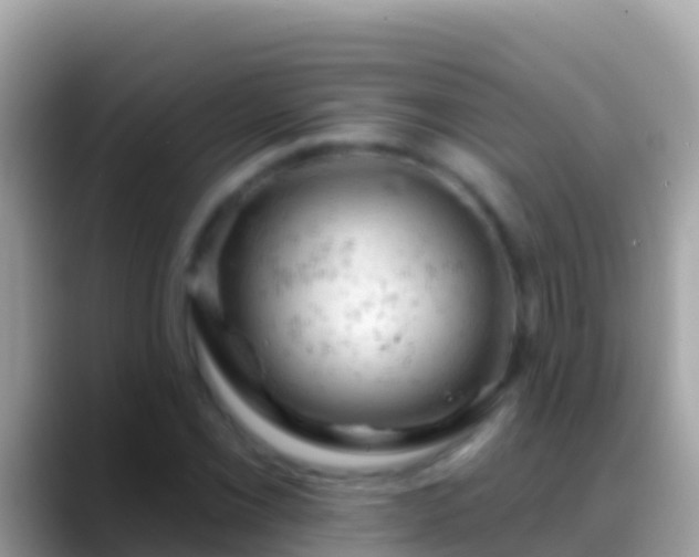 X0000088651069200706011217