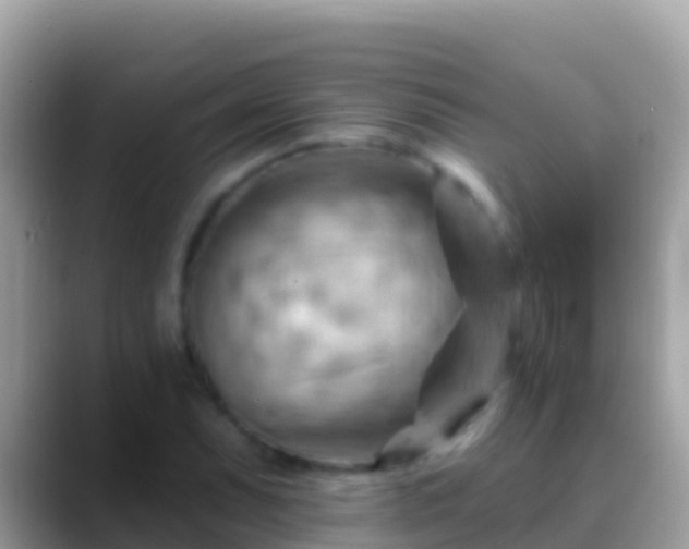 X0000088651071200706011217