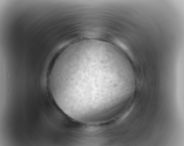 X0000088651074200706011217