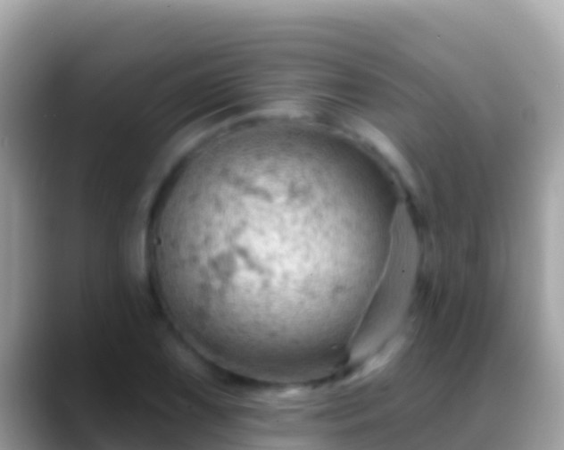 X0000088651075200706011217
