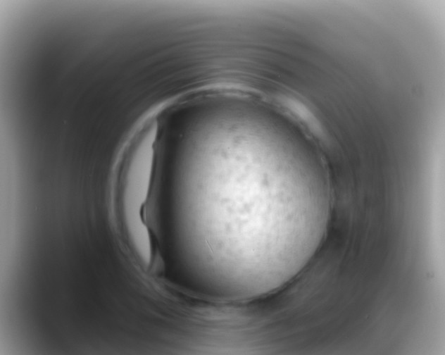 X0000088651076200706011217
