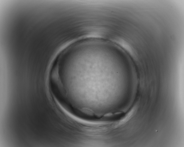 X0000088651077200706011217