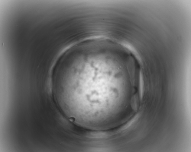 X0000088651079200706011216