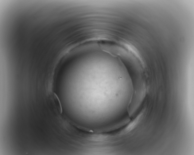 X0000088651081200706011216