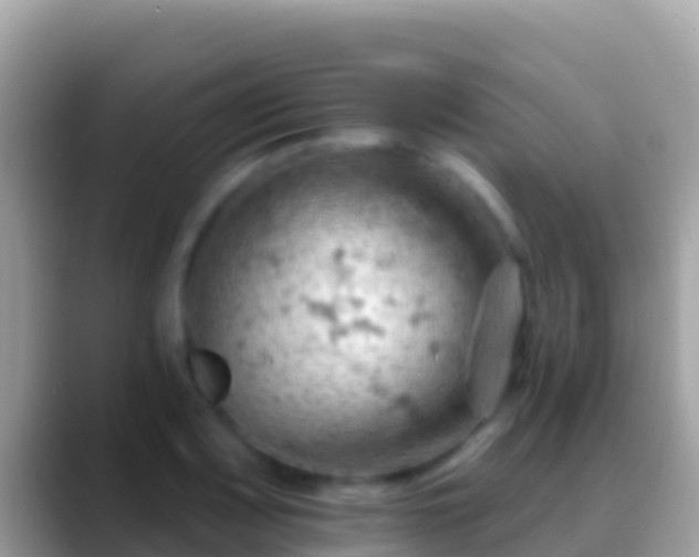 X0000088651083200706011216