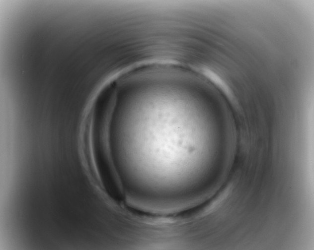 X0000088651085200706011216