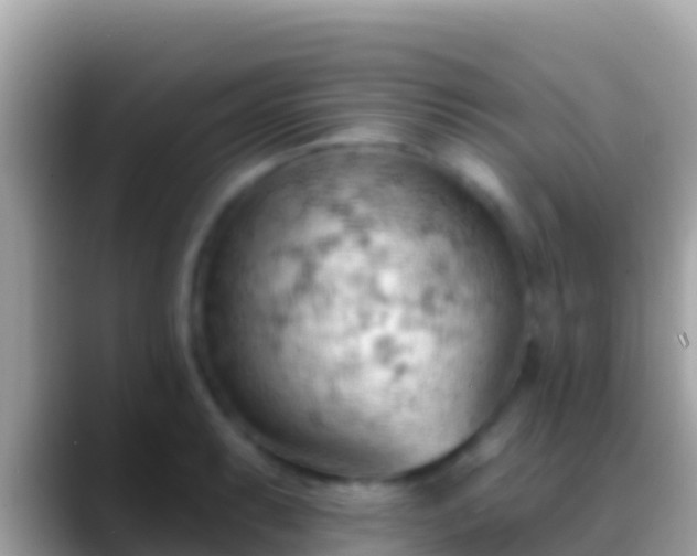 X0000088651087200706011216