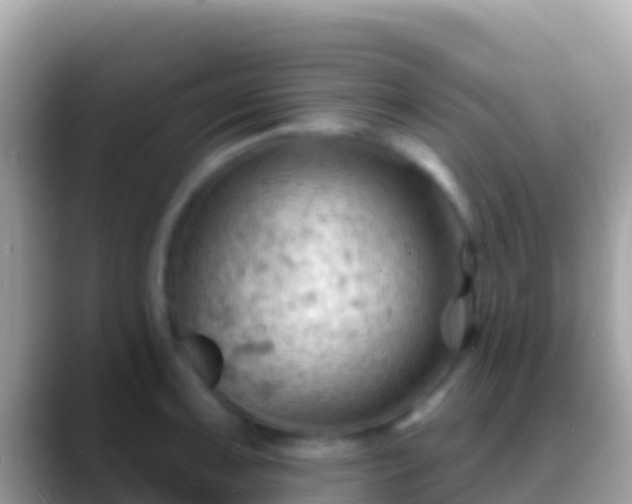 X0000088651091200706011216
