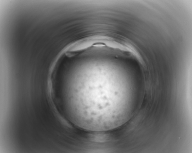 X0000088651092200706011216