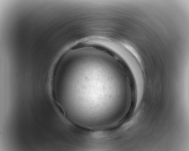 X0000088651093200706011216
