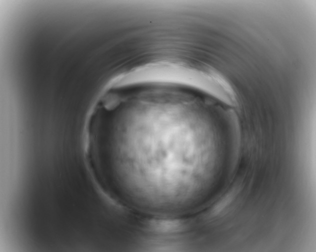 X0000088651095200706011216