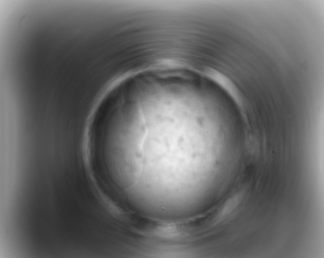 X0000088651098200706011216