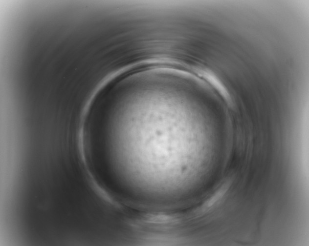 X0000088651100200706011216