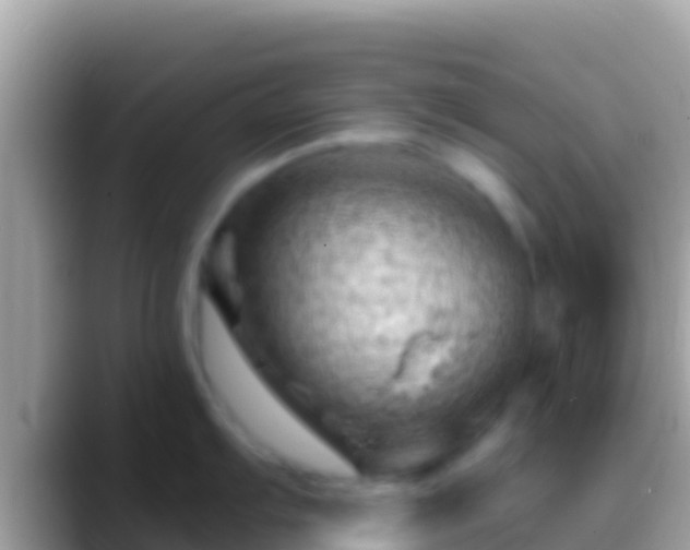 X0000088651103200706011216