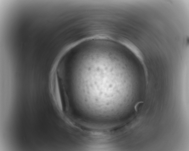 X0000088651104200706011216