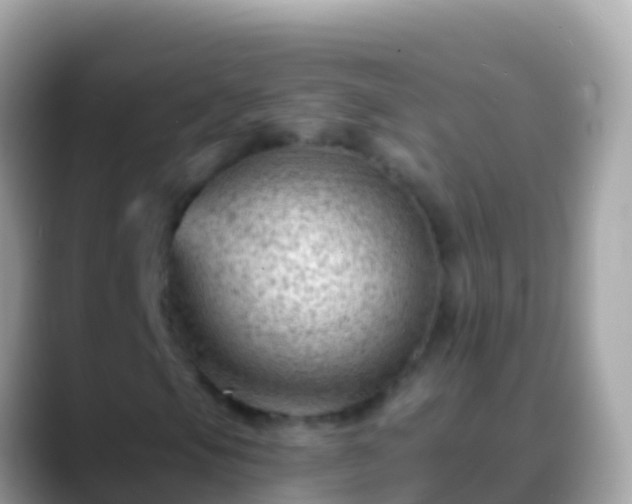 X0000088651105200706011216