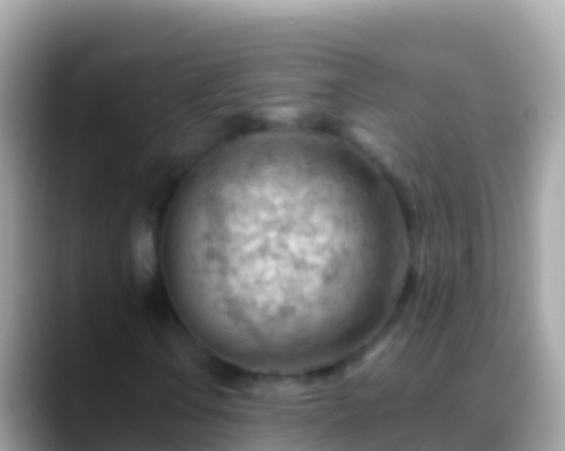 X0000088651106200706011216