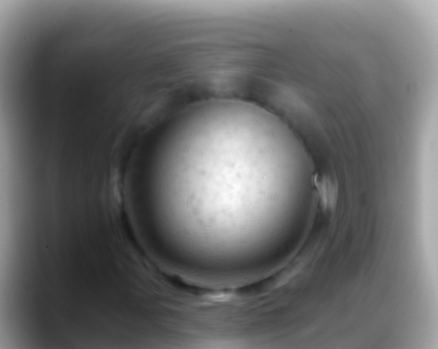 X0000088651107200706011216