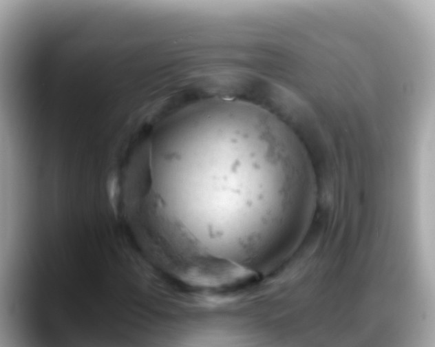 X0000088651108200706011216