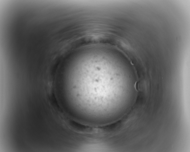 X0000088651109200706011216