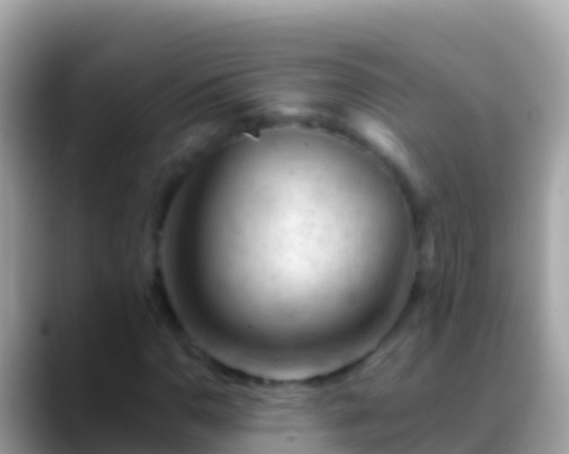 X0000088651110200706011216