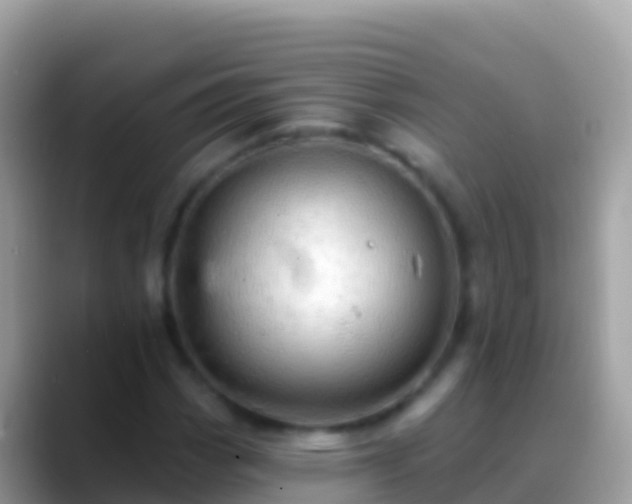 X0000088651113200706011216