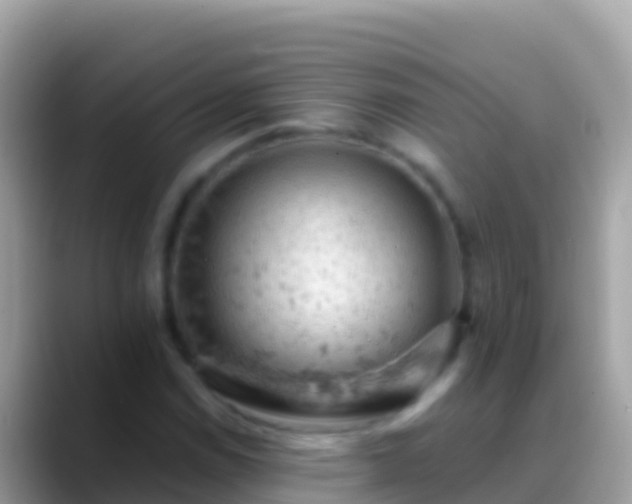 X0000088651114200706011216