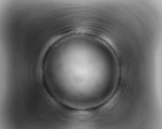 X0000088651115200706011216