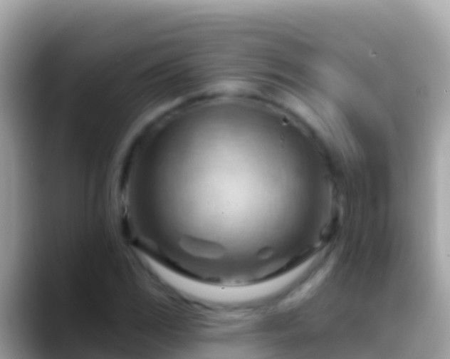 X0000088651117200706011216