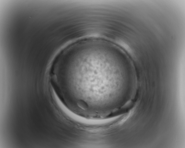 X0000088651118200706011216