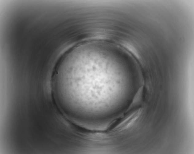 X0000088651119200706011216