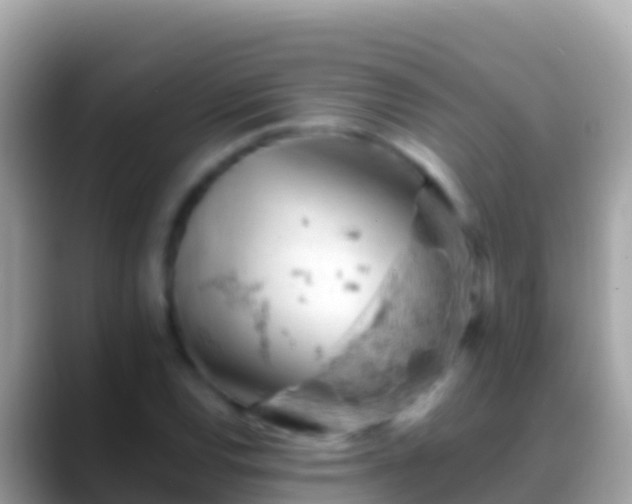 X0000088651120200706011216