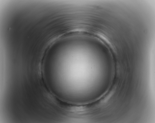 X0000088651121200706011216
