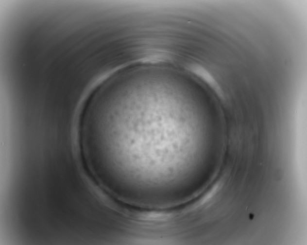 X0000088651122200706011216