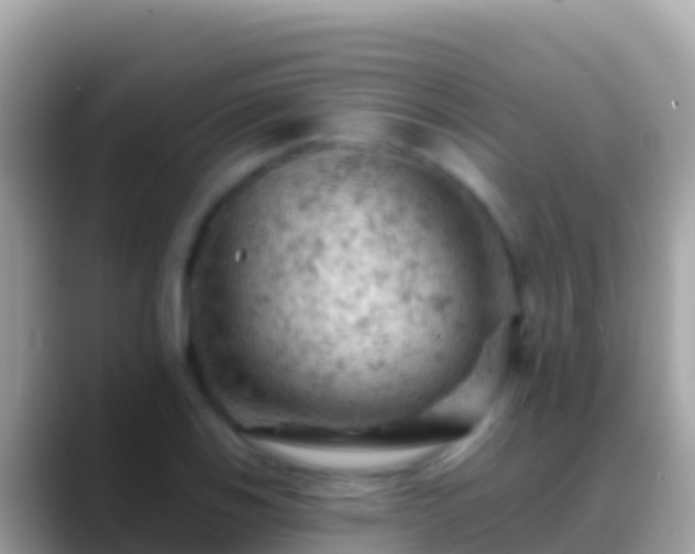 X0000088651123200706011216