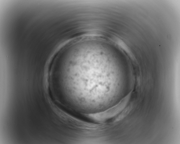 X0000088651124200706011216