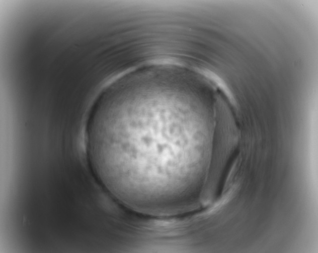 X0000088651125200706011216