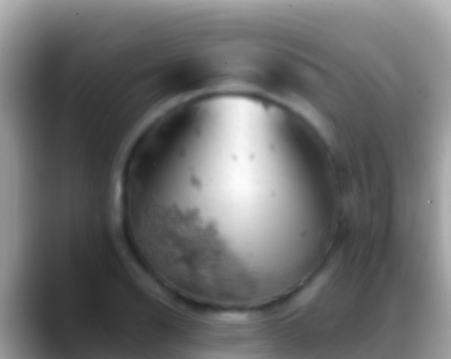 X0000088651126200706011216
