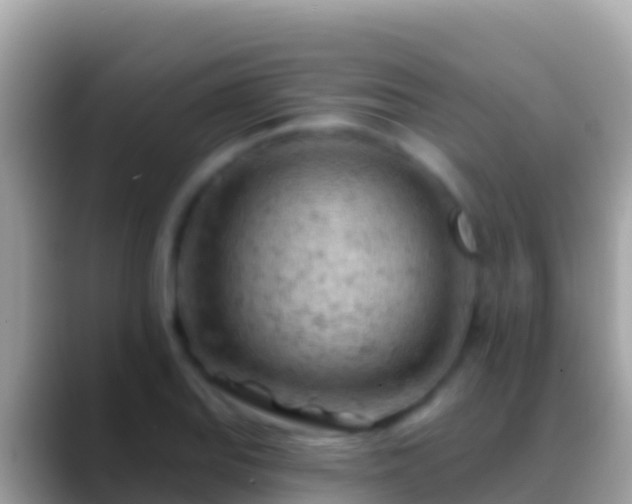 X0000088651127200706011216