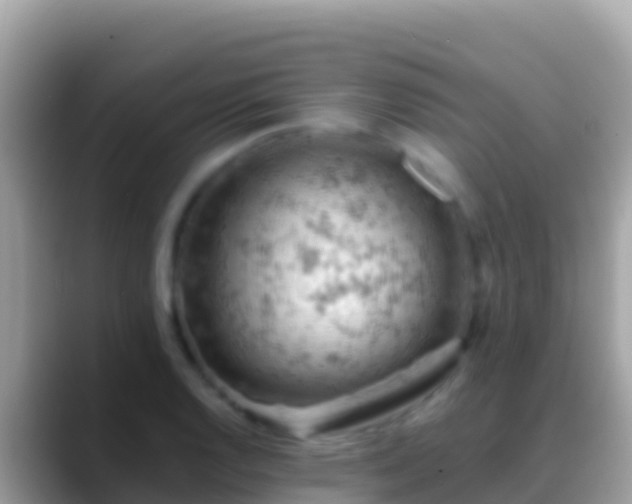 X0000088651128200706011216
