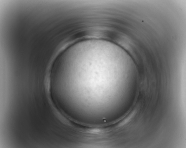 X0000088651130200706011216