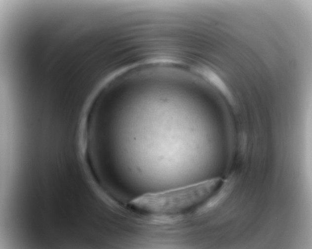 X0000088651132200706011216