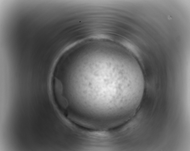 X0000088651133200706011216