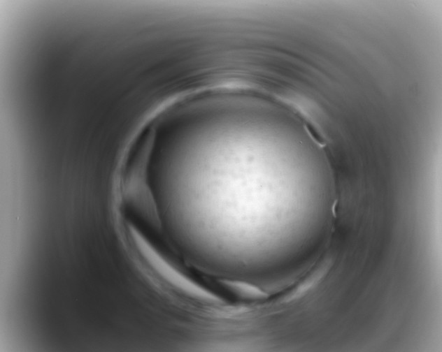 X0000088651134200706011216