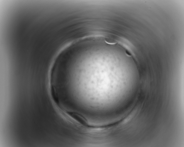 X0000088651135200706011216