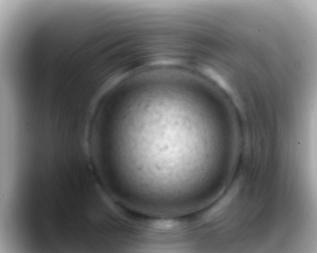 X0000088651137200706011216