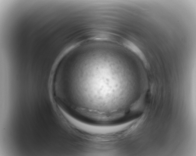 X0000088651138200706011216