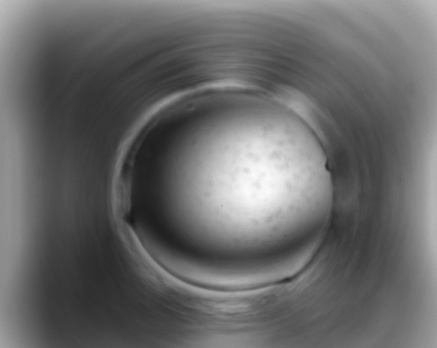 X0000088651140200706011216