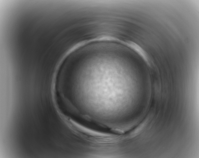 X0000088651142200706011216